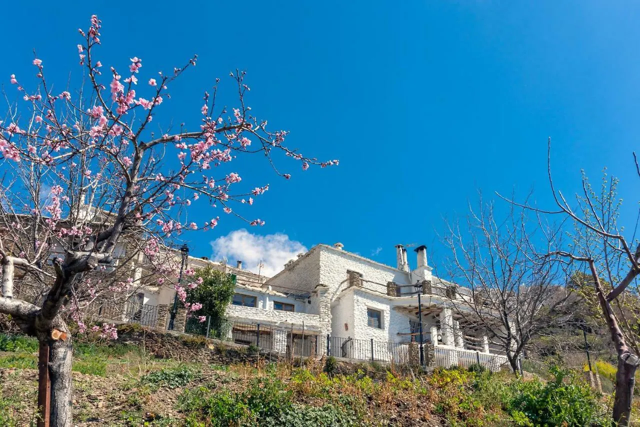 El Rincon Apartment Capileira